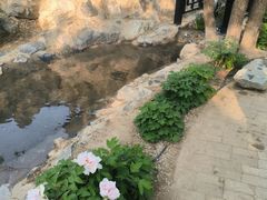 -太阳宫公园