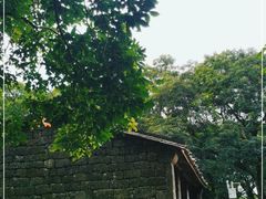 -海口火山口国家地质公园