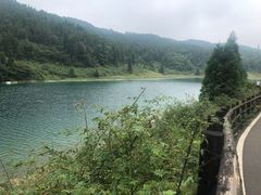 -武陵山森林公园