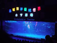 -泉城欧乐堡海洋极地世界