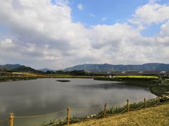 景点-光明小镇欢乐田园