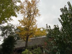 -成都杜甫草堂博物馆