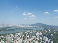 -紫峰大厦