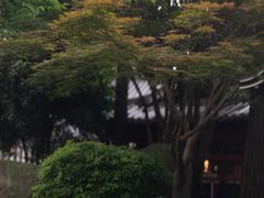 -唐风温泉