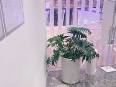 -LANN I 蘭 SPA(陆家嘴中心店)