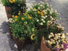 -康美道家中医养生SPA馆(牡丹江路店)