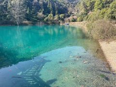 -九龙潭景区
