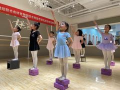 -炫艺舞蹈培训中心(枫尚奥特莱斯店)
