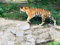 -北京动物园