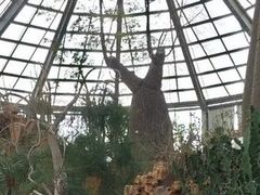 -南通洲际绿博园