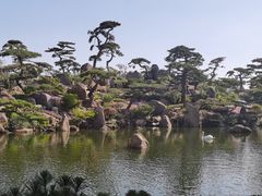 -罗红摄影艺术馆