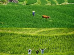 -楠溪江风景名胜区