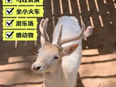 -深圳野生动物园