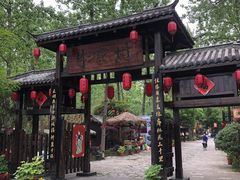 -合肥滨湖国家森林公园