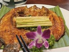 -紫滇源云南生态菜(丹凤街店)