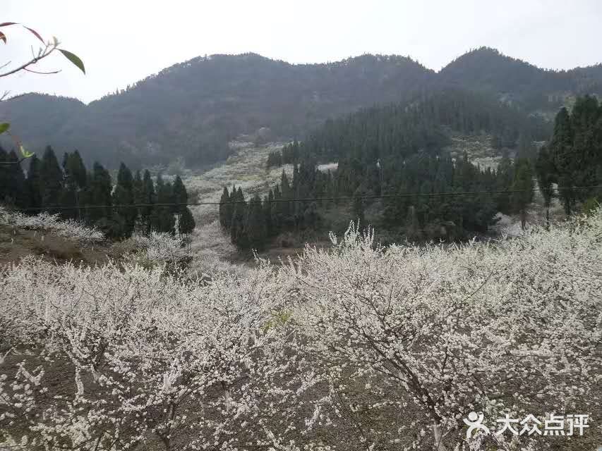 这里最好自驾，坐车不方便，属于郊区旅游景点