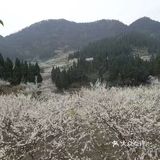 这里最好自驾，坐车不方便，属于郊区旅游景点