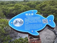 -北海金海湾红树林生态旅游区
