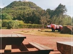 -漳州滨海火山岛自然生态风景区