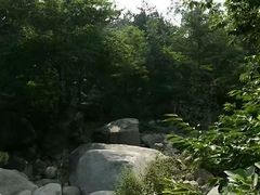 -沂蒙山旅游区云蒙景区(蒙山国家森林公园)