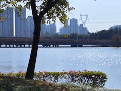 -顺峰山公园