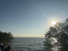 -宝安西湾红树林湿地公园