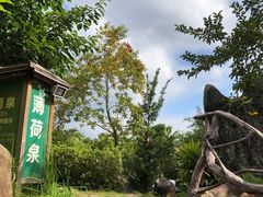 -天芳悦潭度假村温泉