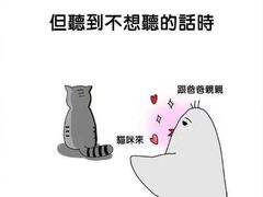 -豫楚源美猴王·面(武展店)