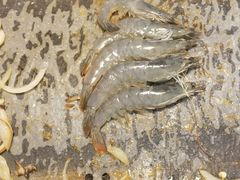 -千纸鹤嫩汁烤肉(西大直街店)