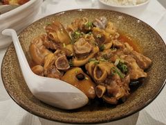 -峨嵋一派