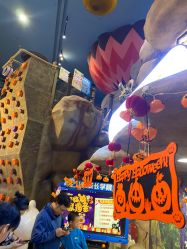 -卡通尼·Safari非洲探索乐园·生日会(金桥国际商业广场店)