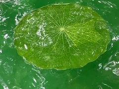 -湖泉半山温泉(湖泉生态园)