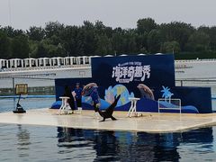 -秦皇岛乐岛海洋王国