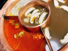 -老诚一锅羊蝎子(黄寺大街店)