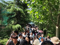 -五龙山野生动物王国