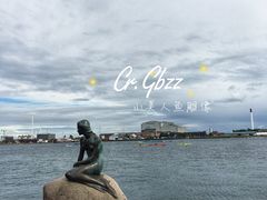 -美人鱼