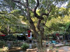 -广州兰圃