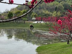 -南北湖风景区