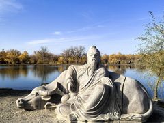 -金塔沙漠胡杨林景区
