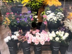 -卓花境Flowerwonderland花店