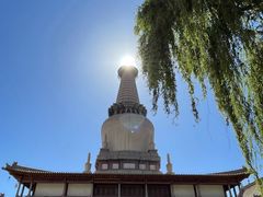 -张掖大佛寺景区