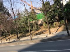 -三圣花乡旅游区