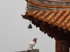 -香山寺