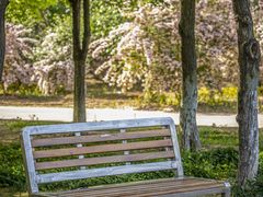 -永定河休闲森林公园