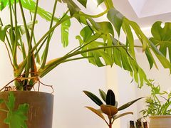 -fishtank鱼缸咖啡(三山街店)