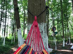 -桤木河湿地公园