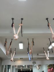 -樊栀普拉提·瑜伽·教培