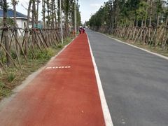 -上海长兴岛郊野公园