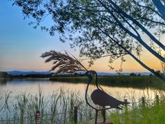 -野鸭湖国家湿地公园