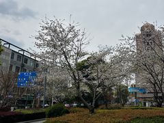 -上海世纪汇广场